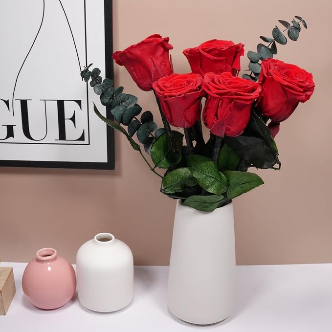 Yamonic Preserved Flowers Rose for Women Mom, Mom Birthday Rose Gifts for Mother, Real Flower Rose for Her, Grandma, Wife, Girlfriend Gifts on Valentine's Day, Mothers Day,Anniversary