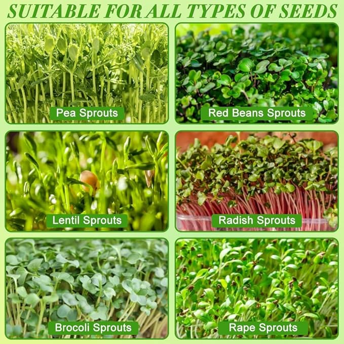 Picowe Stainless Steel Sprouting Trays Seed Sprouting Kit with Stainless Steel Mesh Tray Seed Starter Tray Seed Sprouting Kit (2pack, 10.4 x 7.7inch)