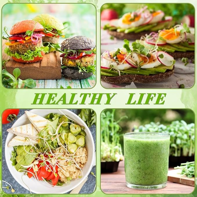 Picowe Stainless Steel Sprouting Trays Seed Sprouting Kit with Stainless Steel Mesh Tray Seed Starter Tray Seed Sprouting Kit (3pack, 10.4 x 7.7inch)