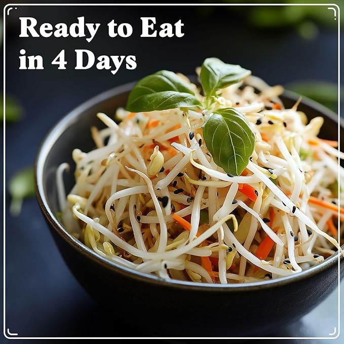 Seedboy Organic Fenugreek Seeds for Sprouting - Non-GMO, USDA Organic Microgreens Sprouting Seeds Mix - Makes 8 Quarts of Sprouts, 24 Servings (8 oz) (Fenugreek)