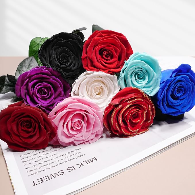 Yamonic Rose Gifts for Women, Mothers Day Rose Flowers Gifts for Mom, Real Flower Birthday Gifts for Women,Grandma,Girlfriend,Christmas,Valentine's Day,Anniversary,Preserved Flowers for Delivery Prime