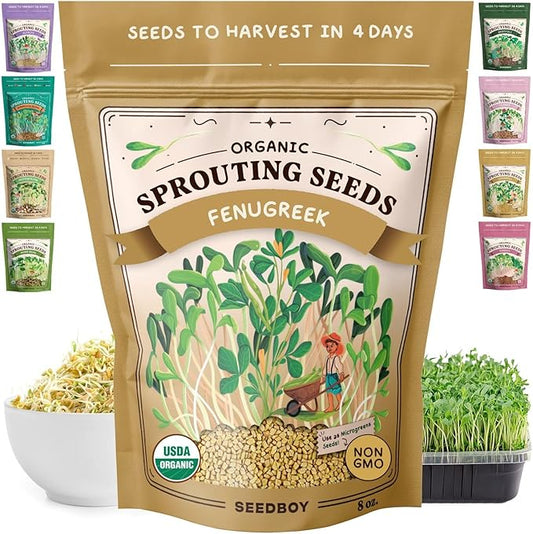 Seedboy Organic Fenugreek Seeds for Sprouting - Non-GMO, USDA Organic Microgreens Sprouting Seeds Mix - Makes 8 Quarts of Sprouts, 24 Servings (8 oz) (Fenugreek)