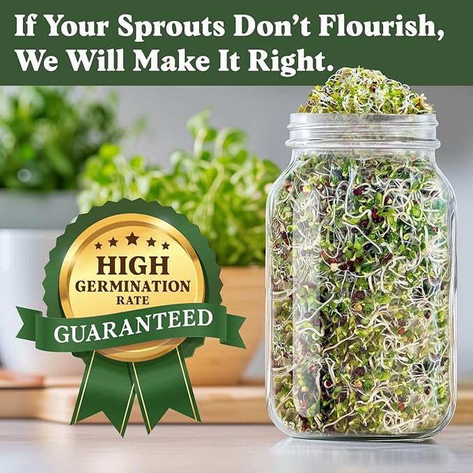 Seedboy Organic Broccoli Seeds for Sprouting - Non-GMO, USA Grown Microgreens Sprouting Seeds Mix - Makes 8 Quarts of Sprouts, 24 Servings (8 oz) (Di Cicco Broccoli)