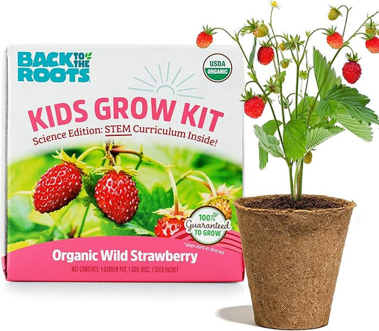 Back to the Roots Organic Wild Strawberry Grow Kit