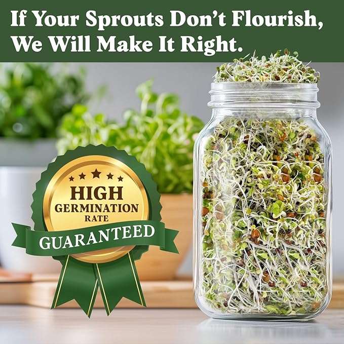 Seedboy Organic Sprouting Seeds Variety Pack - Two 8oz Bag Bundle - Superfood & Protein Blends, Non-GMO, USA-Grown Microgreens Mix, Makes 12 Quarts of Sprouts (36 Servings) (Superfood/Protein)