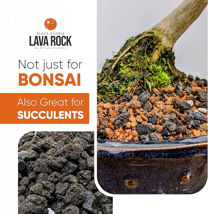 Ho Yoku Black Lava Rock - Premium Soil Additive for Bonsai Plants, Succulents, Cacti, Houseplants - Decorative and Water Retaining Uses - Can Mix with Other Soil Aggregates - 2.25 Quarts