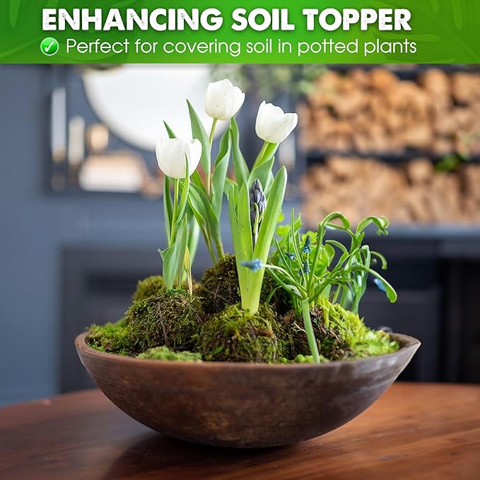 DUSPRO Big Bag Dried Forest Moss for Plant Propagation Sphagnum Moss Bulk for Orchid Repotting Mix Organic Soil Medium Bale Premium Hand Selected (5 LBS)