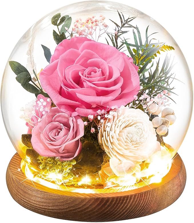 Preserved Flowers Rose Birthday Gifts for Women, Forever Flowers in Glass Ball, Long-Lasting for Mom Her Wife Grandma Anniversary Valentines (Pink)