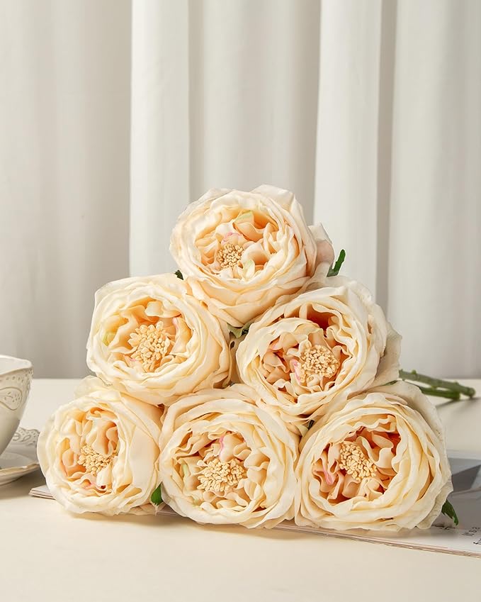 DuHouse 5Pcs Silk Roses Fake Champagne Roses with Stems Real Touch Rose Artificial Flowers for Arrangement Wedding Party Home Decoration