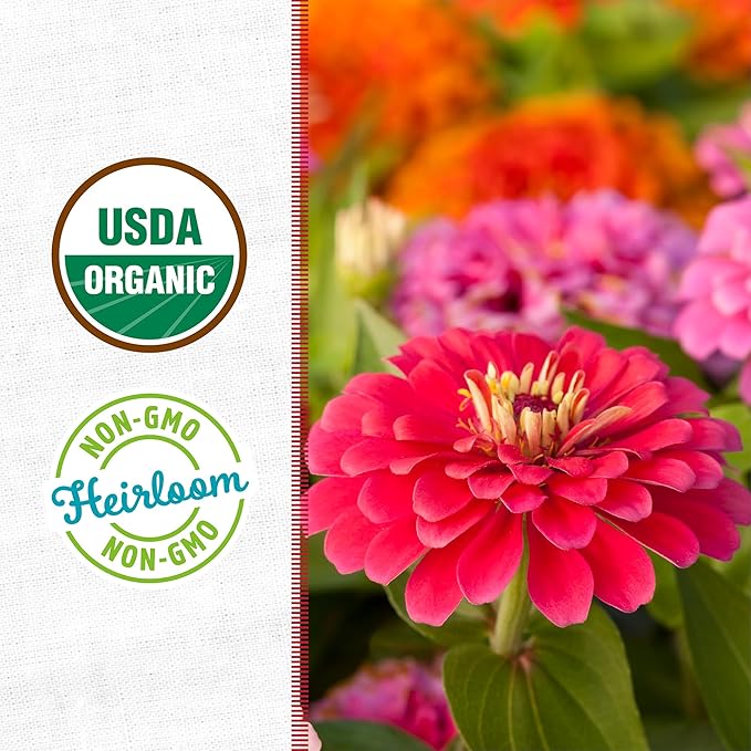 Back to the Roots Organic Zinnia Flower Grow Kit with Plantable Starting Pot Soil and Seeds