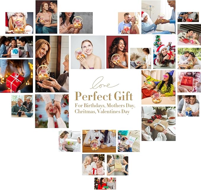 Flowers, Roses Gift – Fresh & Preserved Roses That Last Forever – Delivery to Show Love – Ideal Birthday Gift for Women, Unique for Mother’s Day & Christmas – Long-Lasting Forever Flowers