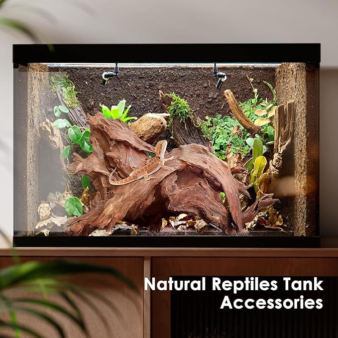 Natural Large Aquarium Driftwood for Fish Tanks & Reptile Terrariums – Safe Fish Tank Decorations, Unique Twisted Branches 2-Piece 14-18 Inch Low Tannin, Easy to Sink
