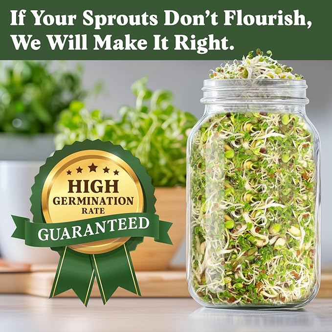 Seedboy Organic Sprouting Seeds - Salad Blend Variety- Non-GMO, USA Grown Microgreens Mix - Alfalfa, Broccoli, Radish, Mung Bean, Lentil - Makes 8 Quarts of Sprouts, 24 Servings (8 oz) (Salad Blend)