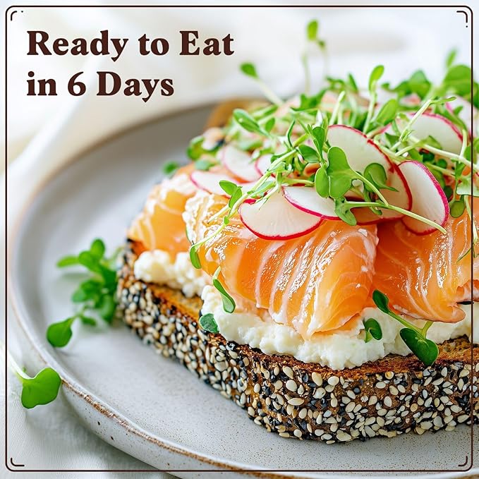 Seedboy Organic Radish Seeds for Sprouting - Non-GMO, USA Grown Microgreens Sprouting Seeds Mix - Makes 8 Quarts of Sprouts, 24 Servings (8 oz) (Daikon Radish)