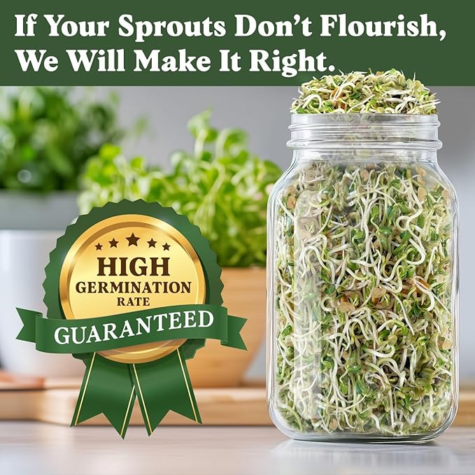 Seedboy Organic Fenugreek Seeds for Sprouting - Non-GMO, USDA Organic Microgreens Sprouting Seeds Mix - Makes 8 Quarts of Sprouts, 24 Servings (8 oz) (Fenugreek)