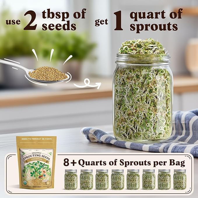 Seedboy Organic Fenugreek Seeds for Sprouting - Non-GMO, USDA Organic Microgreens Sprouting Seeds Mix - Makes 8 Quarts of Sprouts, 24 Servings (8 oz) (Fenugreek)