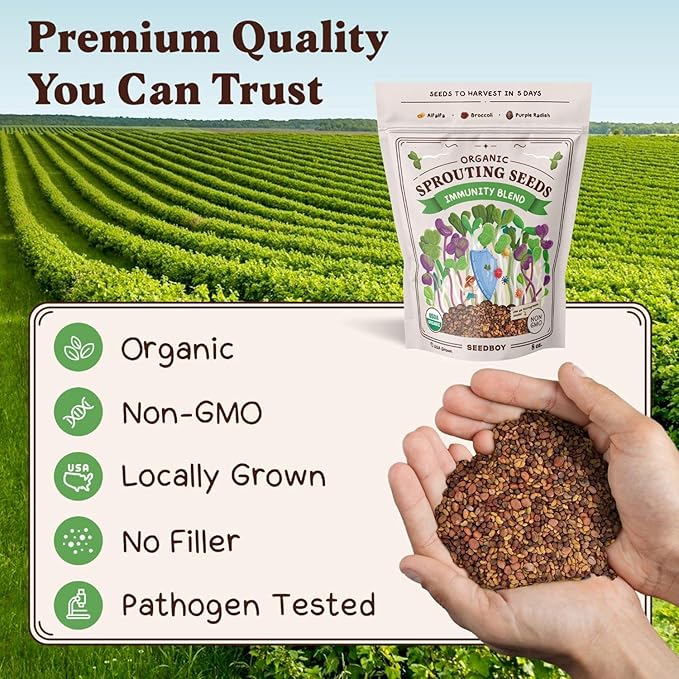 Seedboy Organic Sprouting Seeds - Immune System Booster Blend - Non-GMO, USA Grown - Broccoli, Purple Radish, Alfalfa - Makes 8 Quarts of Sprouts, 24 Servings (8 oz) (Immune System Booster Blend)