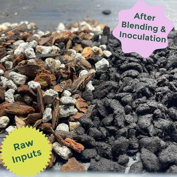 Rosy Soil Cactus and Succulent Potting Soil Mix for Houseplants - Fast Draining Organic Potting Soil for Succulents, AloeVera, Indoor Plant - Root Boosting for Drought Tolerant Growth, Pack of 2