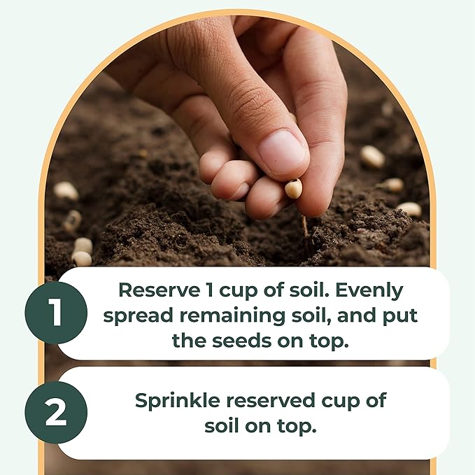 Window Garden Microgreens Grow Kit - Non GMO, Organic Microgreen Seeds, Fiber Soil, Acrylic Tray, Sprayer - Indoor & Outdoor Tools for Gardening, Seedling, Planting Superfood, Hydroponic Growing Kit