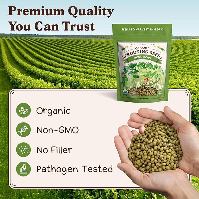Seedboy Organic Mung Bean Seeds for Sprouting - Non-GMO, USDA Organic Sprouting Seeds Mix - Makes 5 Quarts of Sprouts, 15 Servings (8 oz) (Mung Bean)