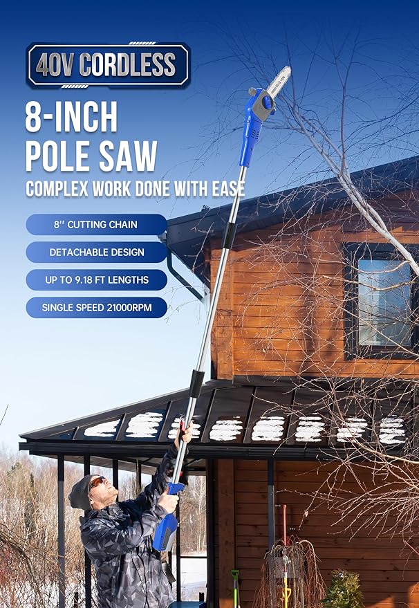 WILD BADGER POWER Pole Saw Cordless 40V 8'' Electric 2.0Ah with Detachable Pole, 2Ah Battery and Charger included