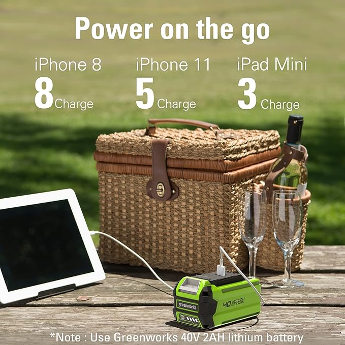 Greenworks 40V 12" Cordless Compact Chainsaw (Great For Storm Clean-Up, Pruning, and Camping), 2.0Ah Battery and Charger Included