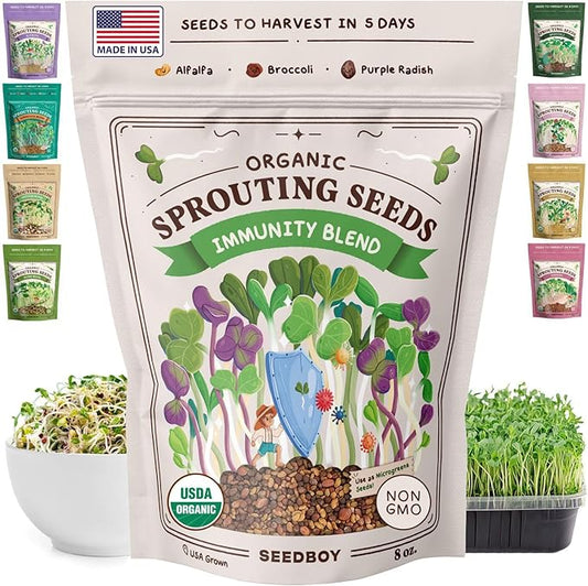 Seedboy Organic Sprouting Seeds - Immune System Booster Blend - Non-GMO, USA Grown - Broccoli, Purple Radish, Alfalfa - Makes 8 Quarts of Sprouts, 24 Servings (8 oz) (Immune System Booster Blend)