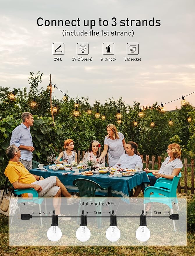 Brightown Outdoor String Lights 25FT G40 Globe Patio Lights with 27 Edison Glass Bulbs(2 Spare), Waterproof Connectable Hanging Light for Backyard Porch Balcony Party Decor, E12 Socket Base, Black