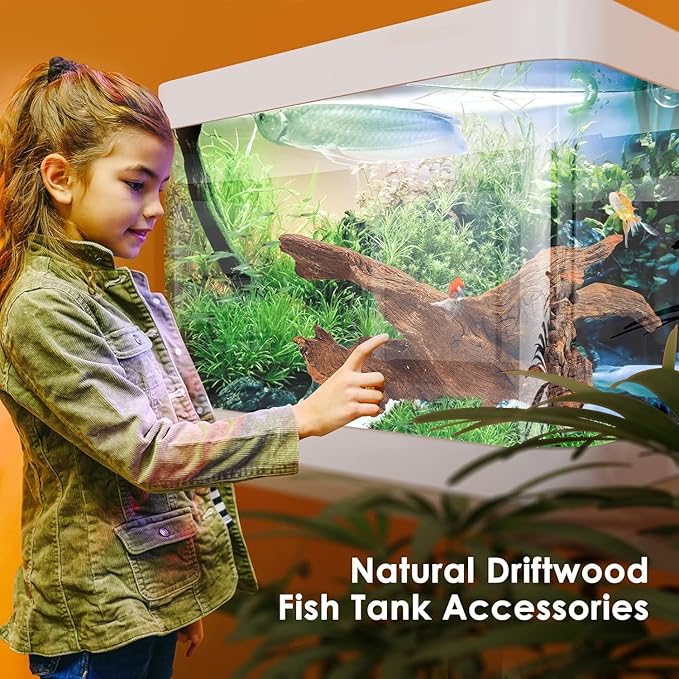 Natural Large Aquarium Driftwood for Fish Tanks & Reptile Terrariums – Safe Fish Tank Decorations, Unique Twisted Branches 2-Piece 14-18 Inch Low Tannin, Easy to Sink