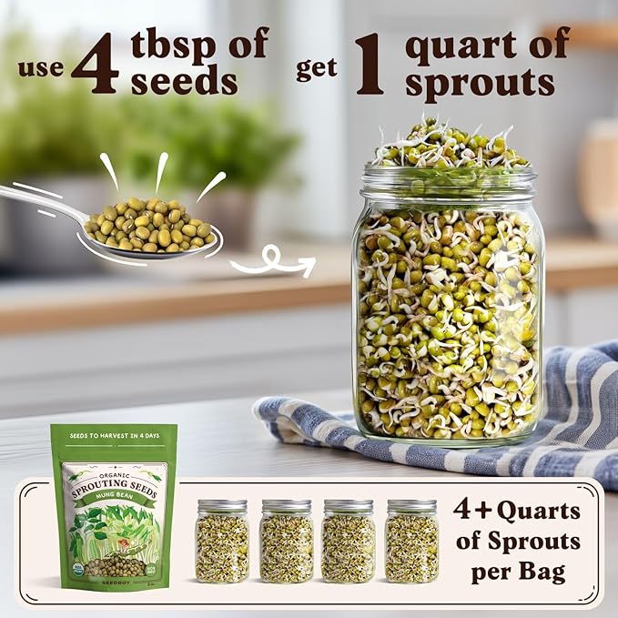 Seedboy Organic Mung Bean Seeds for Sprouting - Non-GMO, USDA Organic Sprouting Seeds Mix - Makes 5 Quarts of Sprouts, 15 Servings (8 oz) (Mung Bean)