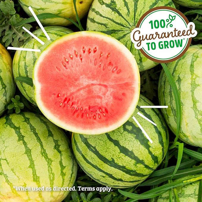 Back to the Roots Organic Watermelon Grow Kit
