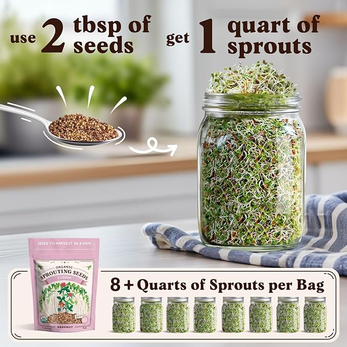Seedboy Organic Clover Seeds for Sprouting - Non-GMO, USA Grown Microgreens Sprouting Seeds Mix - Makes 8 Quarts of Sprouts, 24 Servings (8 oz) (Red Clover)