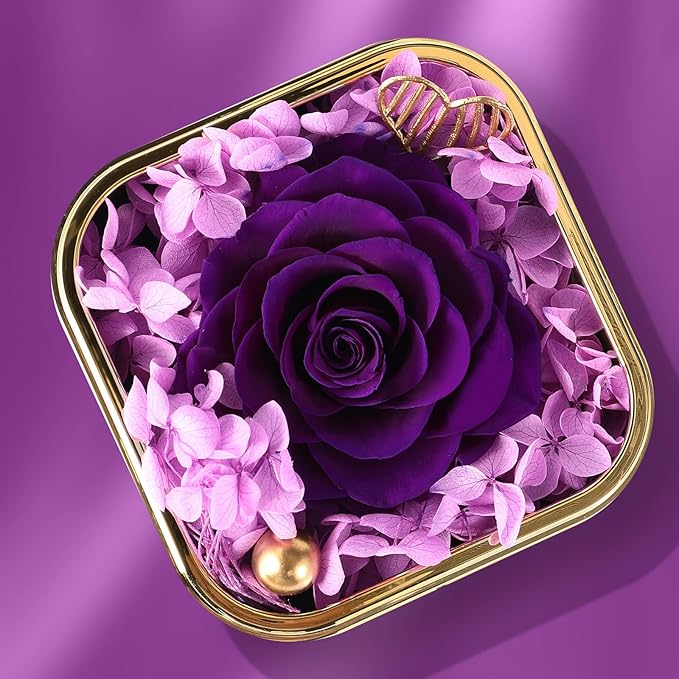 Mikasol Preserved Rose & Heart-Shaped Necklace with Jewelry Box - Preserved Rose, Ideal Romantic Gift for Women, Anniversary, Valentines, Purple, 4.9"x4.5"x4.3"