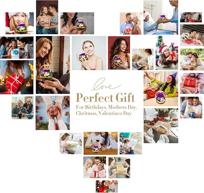 Flowers, Roses Gift – Fresh & Preserved Roses That Last Forever – Delivery to Show Love – Ideal Birthday Gift for Women, Unique for Mother’s Day & Christmas – Long-Lasting Forever Flowers