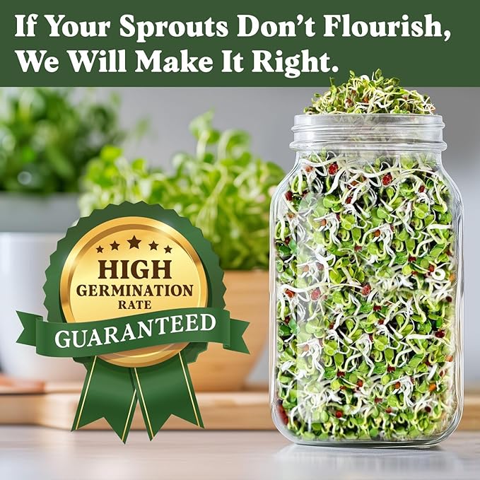 Seedboy Organic Radish Seeds for Sprouting - Non-GMO, USA Grown Microgreens Sprouting Seeds Mix - Makes 8 Quarts of Sprouts, 24 Servings (8 oz) (Daikon Radish)