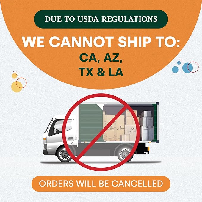 Persian Lime Plant Fruit Trees - Indoor Fruit Trees Live Plants, Outdoor Plants Live, Citrus Tree Pots for Housewarming, Patio, Lime Garden, Cannot Ship: CA,AZ,TX,LA, Real Indoor Tree by Via Citrus