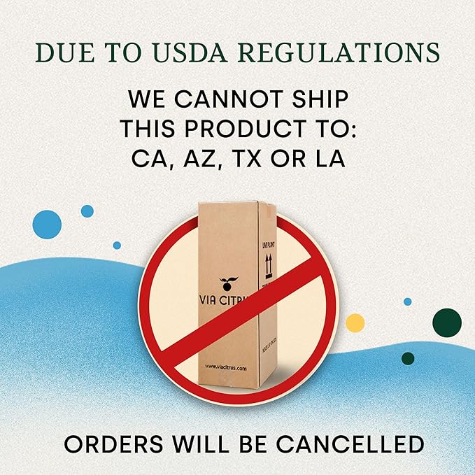 Meyer Lemon Trees Live Plants Outdoor 18-22" Tall - Dwarf Fruit Trees Potted Cannot Ship: CA/AZ/TX/LA – Mini Lemons Plant, Citrus Tree, Indoor Fruit Tree Live Plants, Housewarming Gift by Via Citrus