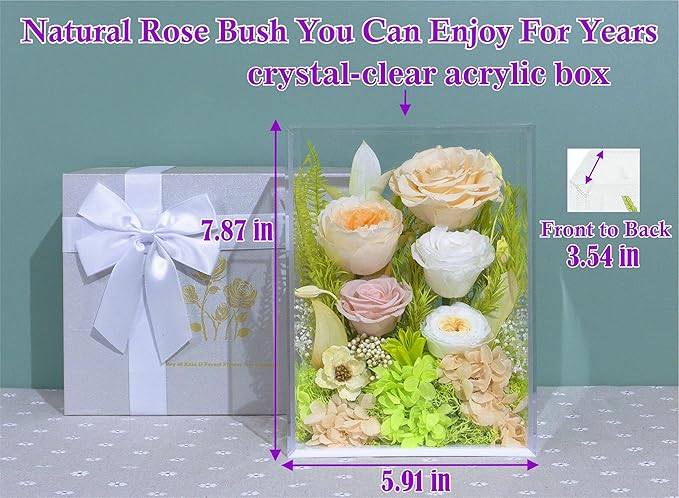 Valley of Rain & Forest Long-Lasting Real Flowers, Handcrafted Preserved Rose Bush For you to Send Love for All Occasions, Floral Arrangement for Indoor Decoration, Champagne Yellow Rose Spring-themed