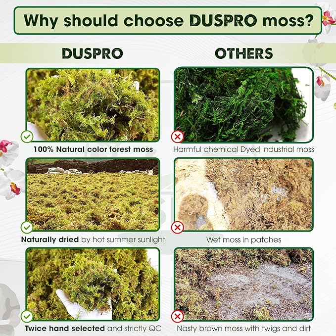 DUSPRO 10oz Dried Forest Moss for Potted Plants, Ideal for Orchid Moss Potting Mix Indoor Moisture Repotting Orchid Soil Medium, Terrarium Decor, Natural Reptile Vine