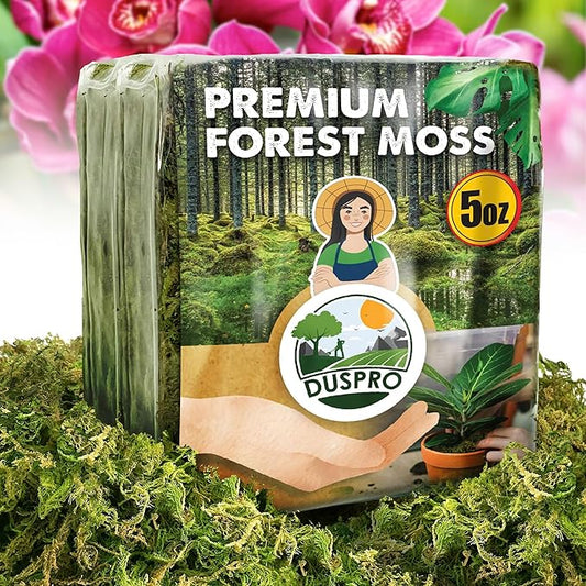 DUSPRO Dried Moss for Potted Plants, Forest Orchid Moss for Potting Mix, Sphagnum Potting Moss for Plants Indoor, Real Moss Soil Cover for Houseplant (5 OZ)