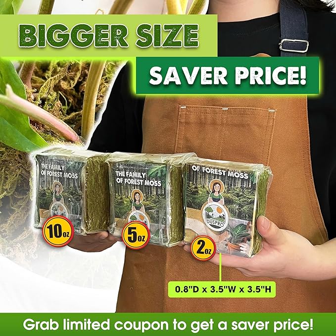 DUSPRO 10oz Dried Forest Moss for Potted Plants, Ideal for Orchid Moss Potting Mix Indoor Moisture Repotting Orchid Soil Medium, Terrarium Decor, Natural Reptile Vine