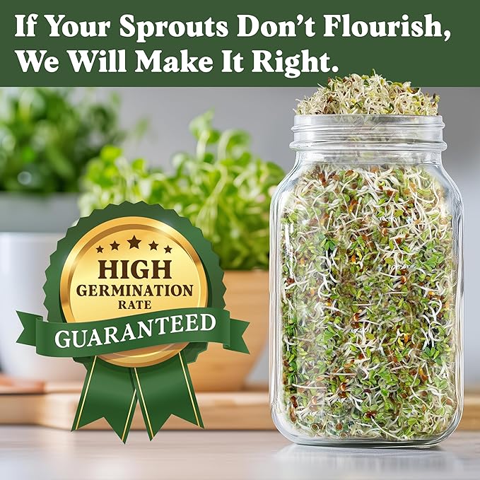 Seedboy Organic Alfalfa Seeds for Sprouting - Non-GMO, USDA Organic Microgreens Sprouting Seeds Mix - Makes 8 Quarts of Sprouts, 24 Servings (8 oz) (Alfalfa)