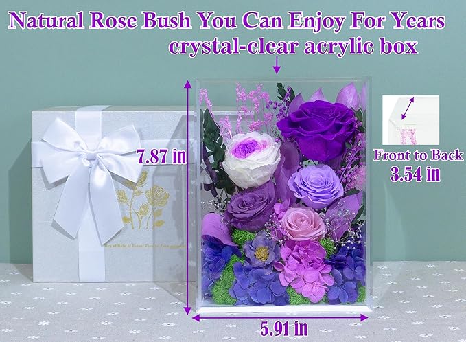 Valley of Rain & Forest Long-Lasting Real Flowers, Handcrafted Preserved Rose Bush For you to Send Love for All Occasions, Floral Arrangement for Indoor Decoration (Dark Purple Rose)